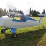 blue and white aircraft